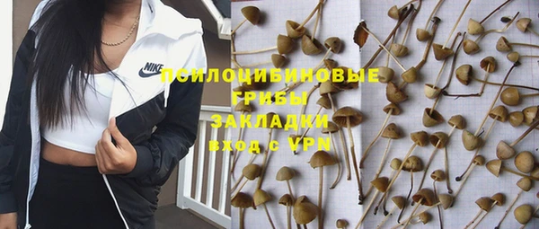 героин Кукмор