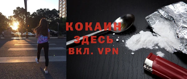 ПСИЛОЦИБИНОВЫЕ ГРИБЫ Лихославль
