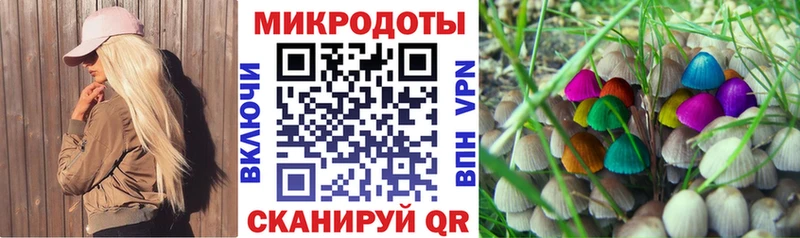 сколько стоит omg ссылка Псилоцибиновые грибы Psilocybine cubensis Кушва